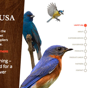 Responsive Wordpress Site